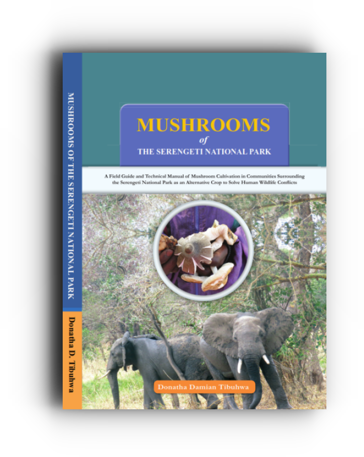 Mushroom of the Serengeti National Park